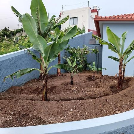 ארקו דה קלחטה Calheta Paradise Holiday Home מראה חיצוני תמונה